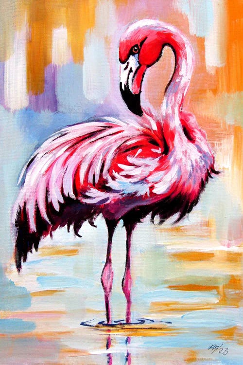 Flamingo