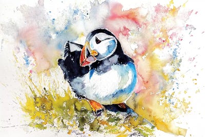 Puffin On Stone by Anna Brigitta Kovacs canvas print
