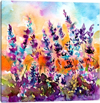 Lavender Field Canvas Art Print - Anna Brigitta Kovacs