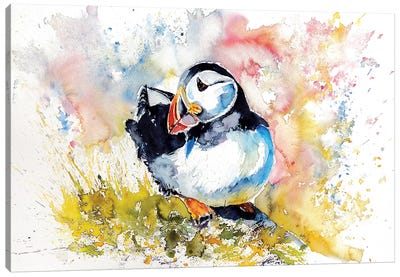 Puffin On Stone Canvas Art Print - Puffins