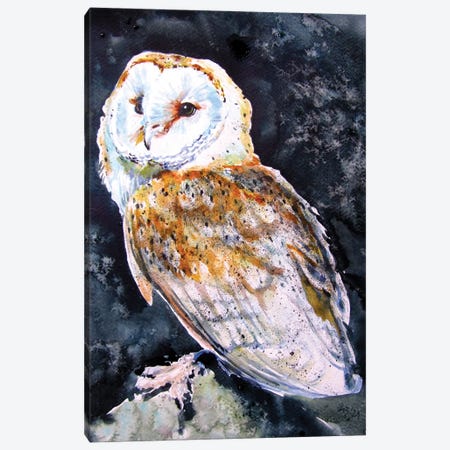 Barn Owl At Night Canvas Print #AKV735} by Anna Brigitta Kovacs Canvas Art Print