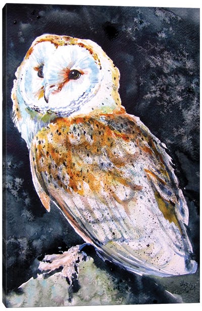 Barn Owl At Night Canvas Art Print - Anna Brigitta Kovacs