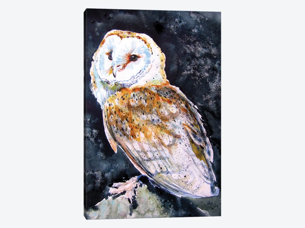 Barn Owl At Night by Anna Brigitta Kovacs 1-piece Canvas Print