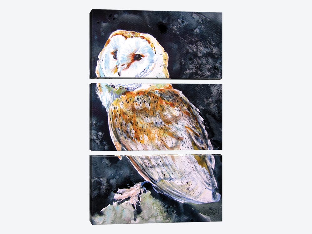 Barn Owl At Night by Anna Brigitta Kovacs 3-piece Canvas Print