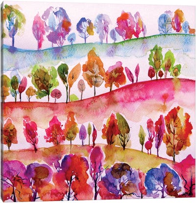 Colorful Valley Canvas Art Print - Anna Brigitta Kovacs