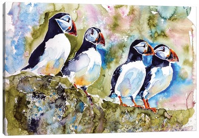 Puffins On Stone Canvas Art Print - Animal Lover