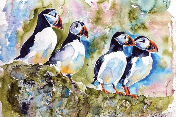 Anna Brigitta Kovacs: Puffins On Stone by Anna Brigitta Kovacs