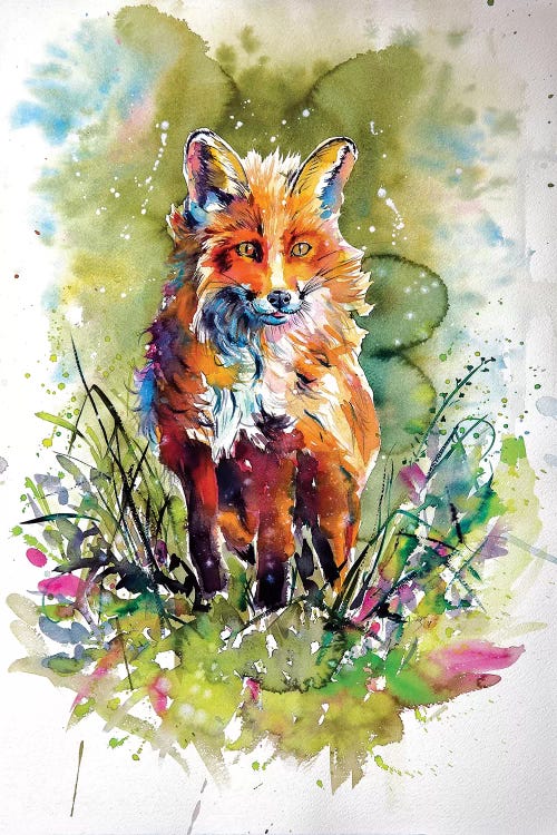 Red Fox In Field