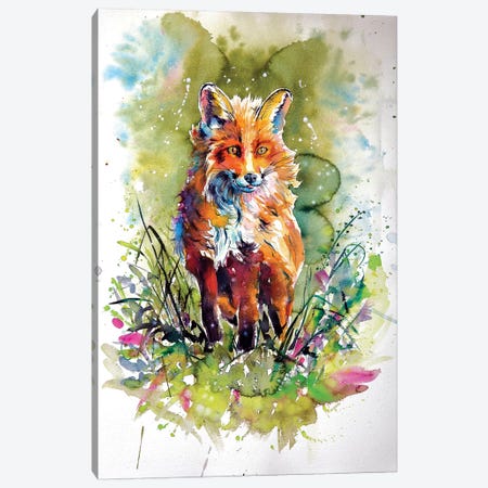 Red Fox In Field Canvas Print #AKV75} by Anna Brigitta Kovacs Canvas Wall Art