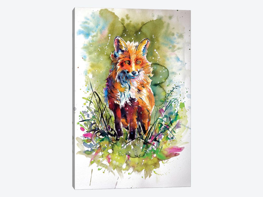 Red Fox In Field by Anna Brigitta Kovacs 1-piece Canvas Artwork