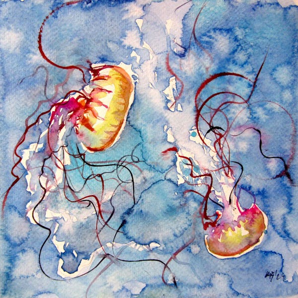 Anna Brigitta Kovacs: Jellyfish by Anna Brigitta Kovacs