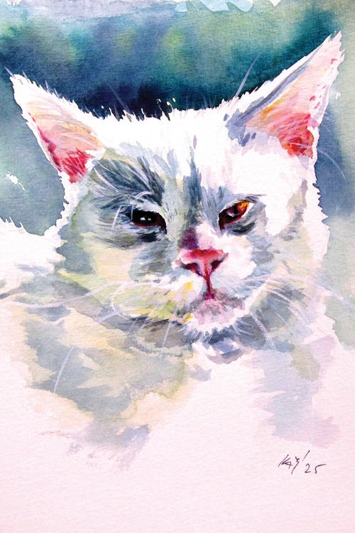 White Cat II by Anna Brigitta Kovacs wall art
