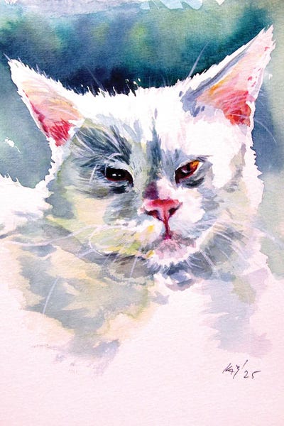 Fine Art Print: White Cat II by Anna Brigitta Kovacs