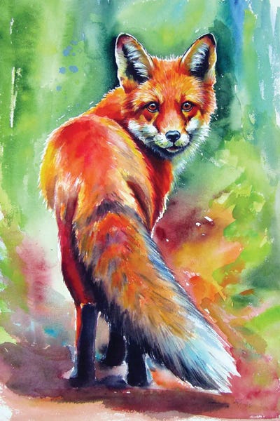 Red Fox III