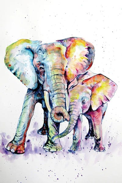 Anna Brigitta Kovacs: Elephants by Anna Brigitta Kovacs