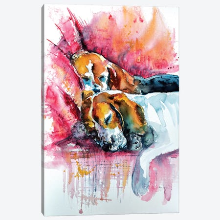 Sleeping Dogs Canvas Print #AKV79} by Anna Brigitta Kovacs Canvas Art Print