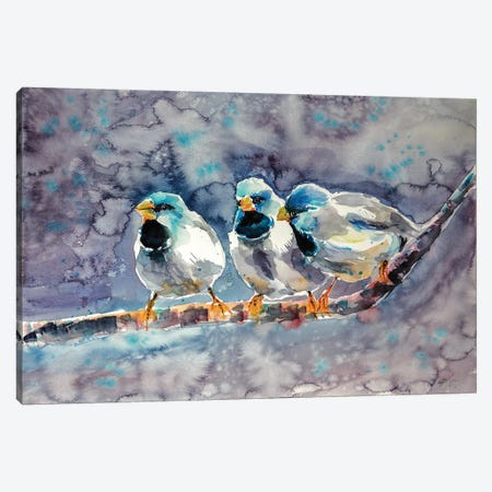 Talking Birds Canvas Print #AKV84} by Anna Brigitta Kovacs Canvas Print
