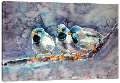 Talking Birds Canvas Art Print - Anna Brigitta Kovacs