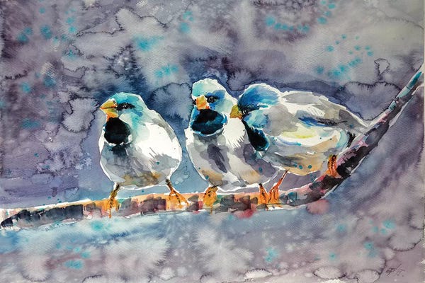 Anna Brigitta Kovacs: Talking Birds by Anna Brigitta Kovacs