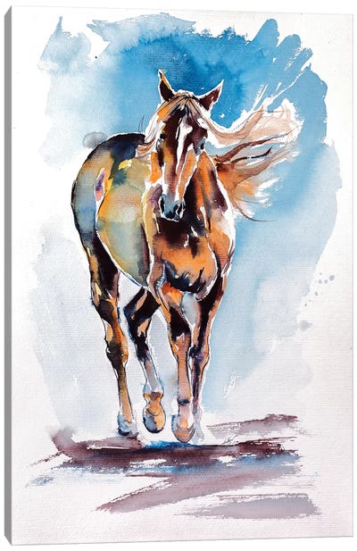 Walking Horse Canvas Art Print - Anna Brigitta Kovacs