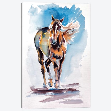 Walking Horse Canvas Print #AKV91} by Anna Brigitta Kovacs Canvas Art Print
