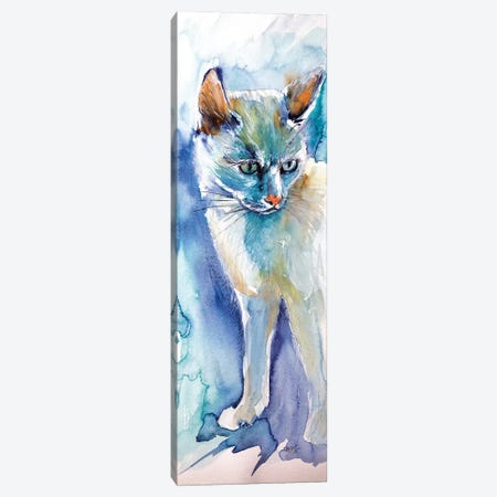 White Cat Canvas Print #AKV92} by Anna Brigitta Kovacs Canvas Print