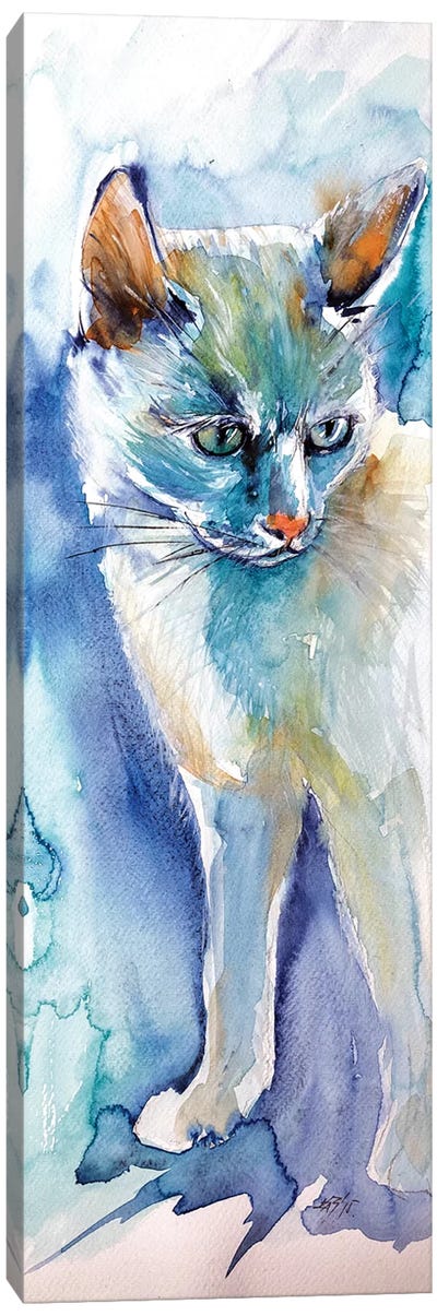 White Cat Canvas Art Print - Anna Brigitta Kovacs