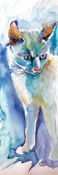 Cats: White Cat by Anna Brigitta Kovacs
