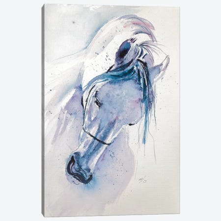 White Horse Canvas Print #AKV93} by Anna Brigitta Kovacs Canvas Art Print