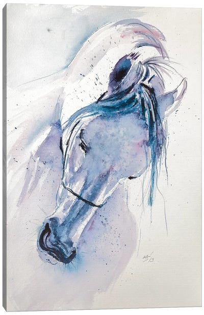 White Horse Canvas Art Print - Anna Brigitta Kovacs