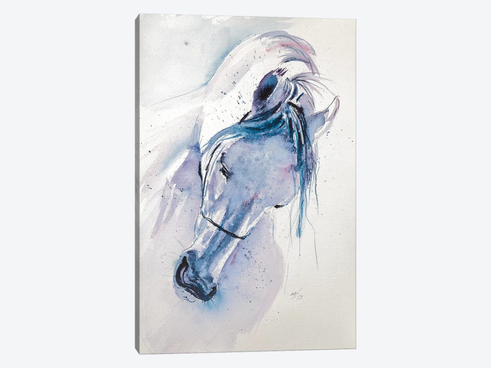 White Horse by Anna Brigitta Kovacs 1-piece Canvas Wall Art