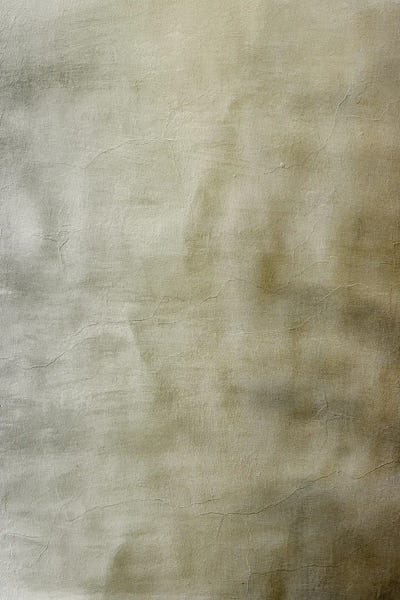 Eterea IV by Annike Limborco canvas print