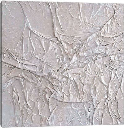 Amassadura - Metallic Offwhite Canvas Art Print - Annike Limborco
