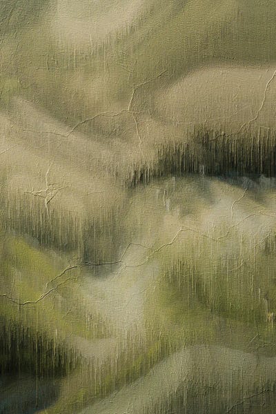 Liquid Life - Diptych V - Right by Annike Limborco canvas print