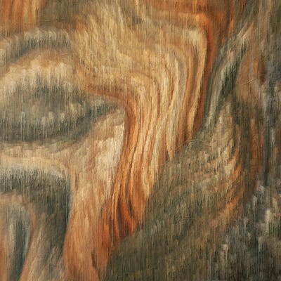 Liquid Life - Earth Edition III by Annike Limborco canvas print