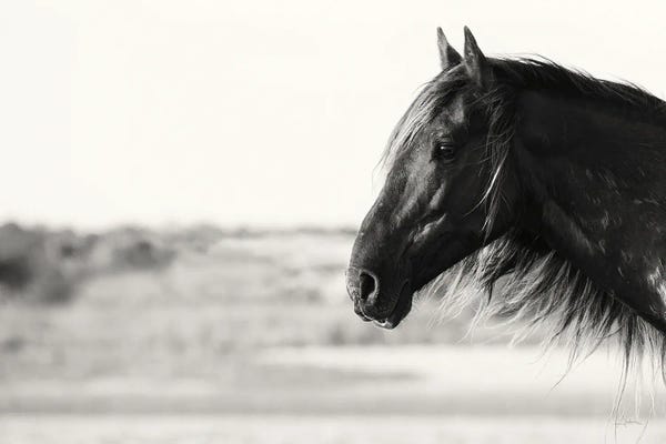 Modern Farmhouse Décor: Pretty Girl by Aledanda