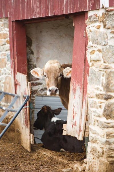 Farms: Resting by Aledanda