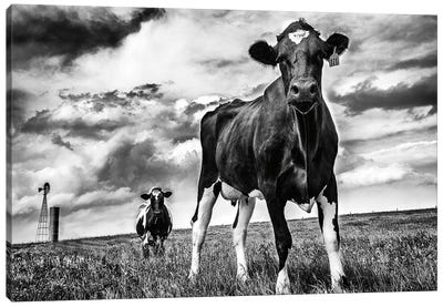 Waiting BW Canvas Art Print - Country Scenic Photography