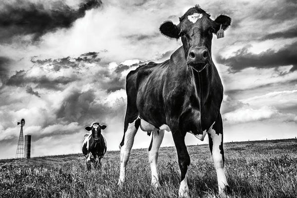 Photography: Waiting BW by Aledanda