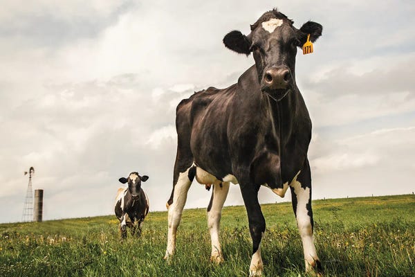 Photography: Waiting Color by Aledanda