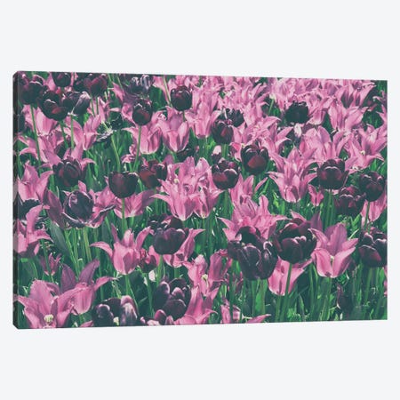 Tulip Botanical Canvas Print #ALD121} by Aledanda Canvas Art Print