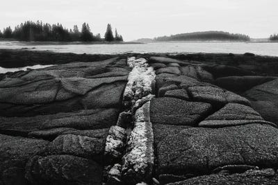 Stony Shore by Aledanda canvas print