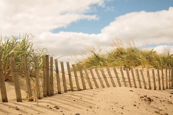 Aledanda: Beach Dunes I by Aledanda