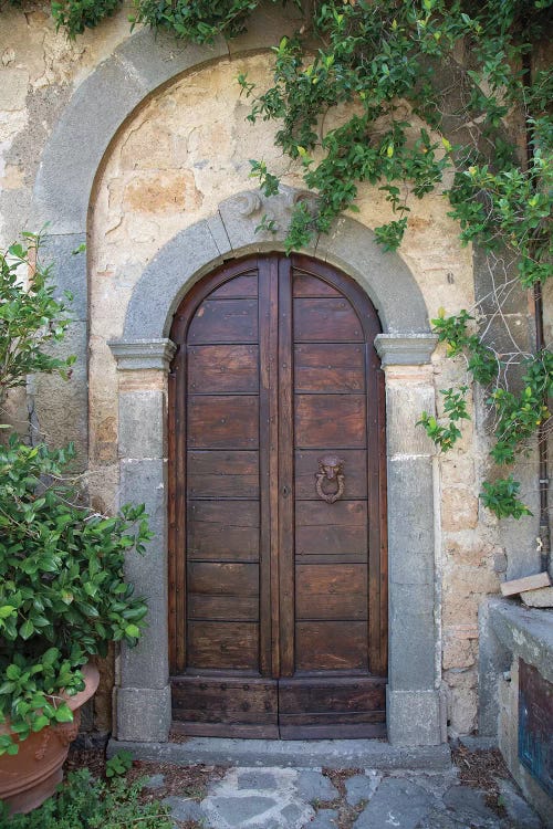 Venice Doorway by Aledanda wall art