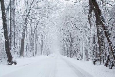 Going Home by Aledanda metal wall art