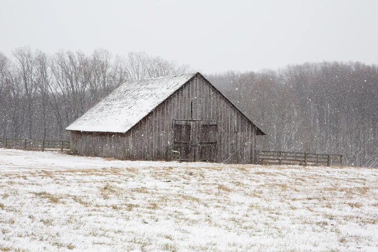 First Snow