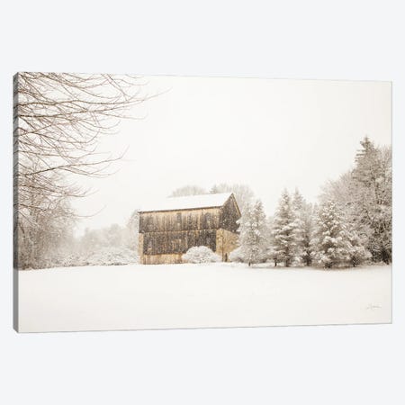 First Snow Canvas Print #ALD95} by Aledanda Canvas Print