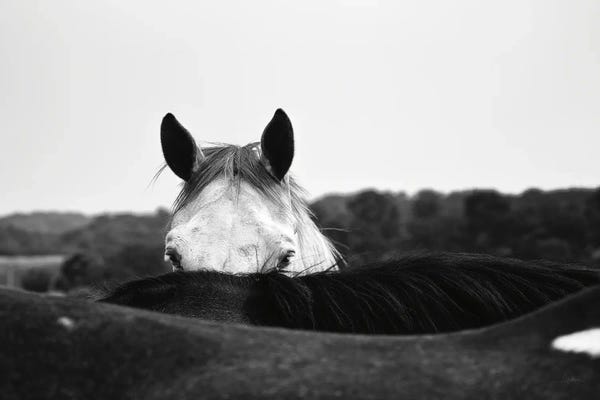 Modern Farmhouse Bedroom: Flirt by Aledanda