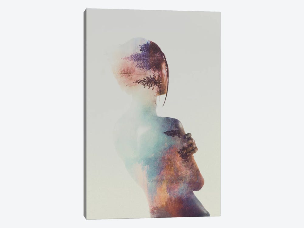 For Free by Andreas Lie 1-piece Canvas Wall Art