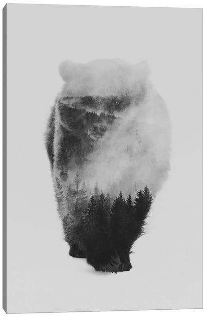 Approaching Bear in B&W Canvas Art Print - Double Exposure Photography